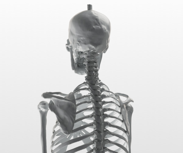 Skeleton scan