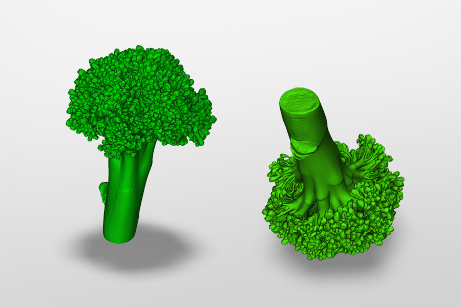 Broccoli scans with Artec Micro