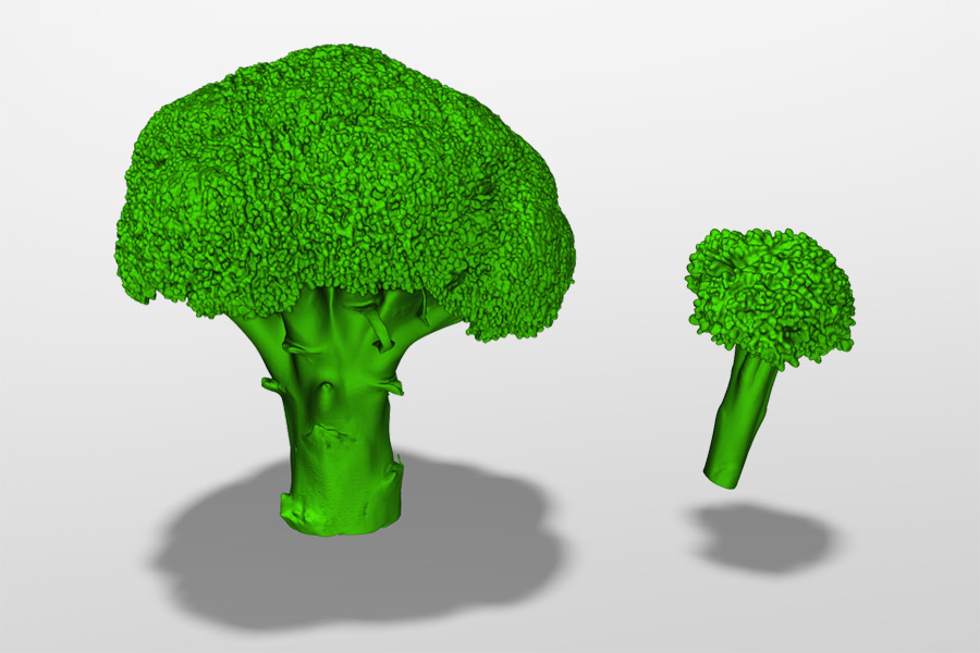 Broccoli scans from Space Spider