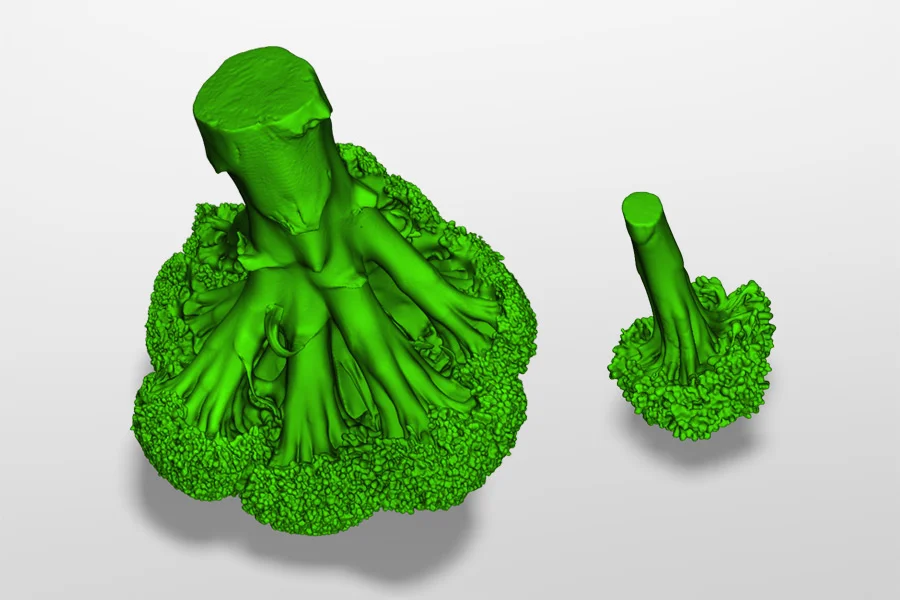 Broccoli scans from Space Spider