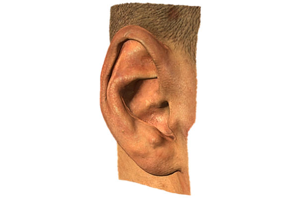 Ear 3d scan